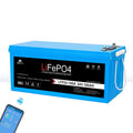 SunGoldPower 24V 100AH LifePO4 Deep Cycle Lithium Battery Bluetooth / Self-Heating / IP65