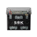 SOK Battery 12V 100Ah LiFePO4 Battery Bluetooth With Clear Sealed Box