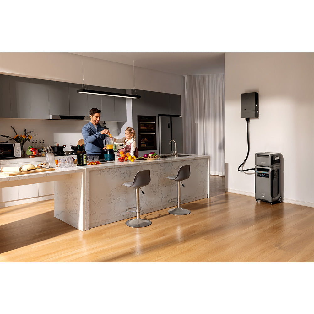 Anker 3840Wh F3800 Plus w/ Home Panel, Sub Panel, Cable