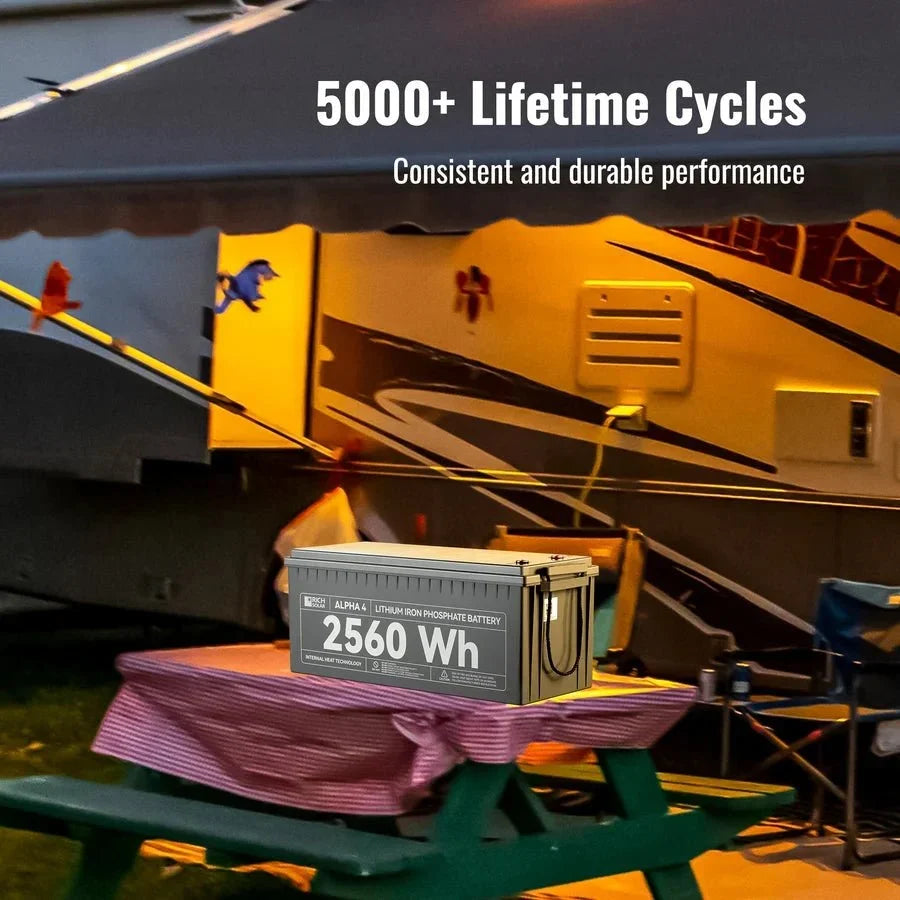 Rich Solar ALPHA 4 24V 100Ah LiFePO4 Battery w/ Internal Heating and Bluetooth