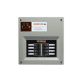 Generac 6852 30-Amp 6 - 8-Circuit HomeLink Indoor Manual Transfer Switch Kit