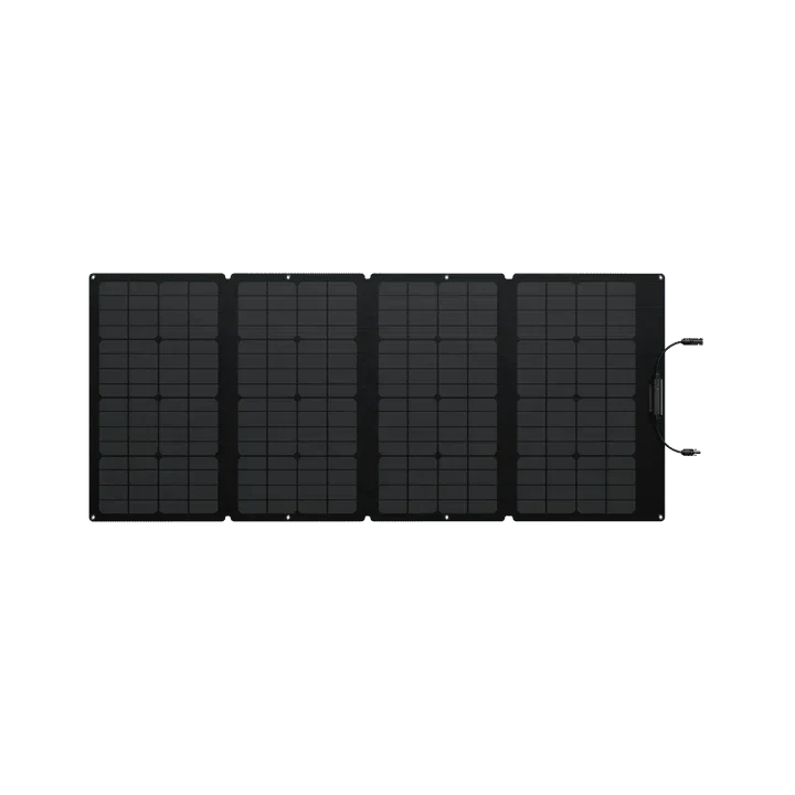 EcoFlow DELTA 2 Max + 160W Portable Solar Panel
