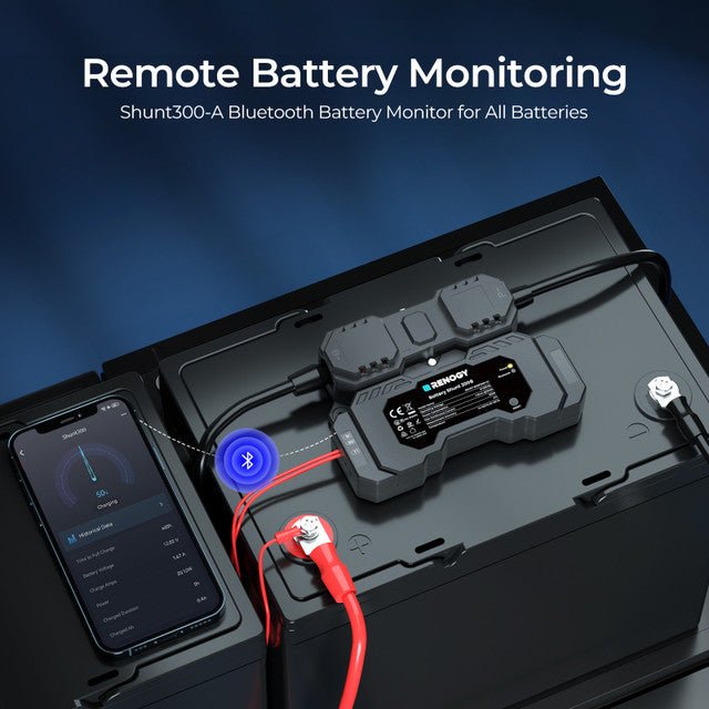 Renogy Battery Shunt 300 w/ Renogy ONE Core
