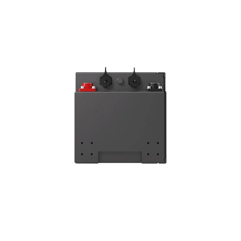 Renogy Pro S1 12V 120Ah LiFePO4 Battery