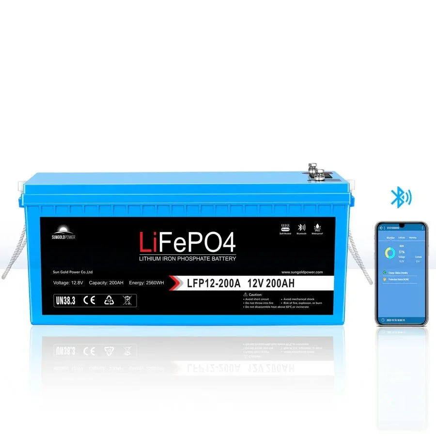 SunGoldPower 4000W DC 12V Pure Sine Wave Inverter With Charger